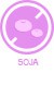 Soja