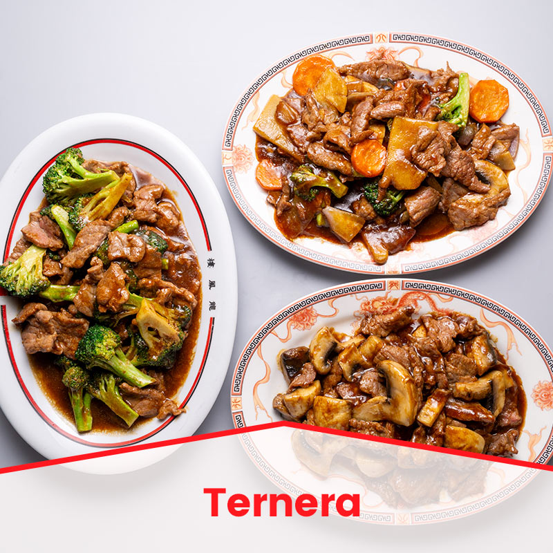 TERNERA